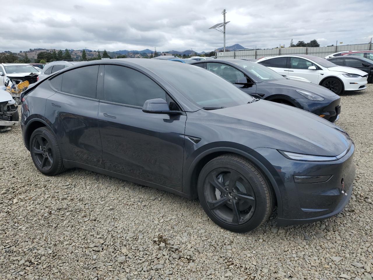 2026 TESLA MODEL Y