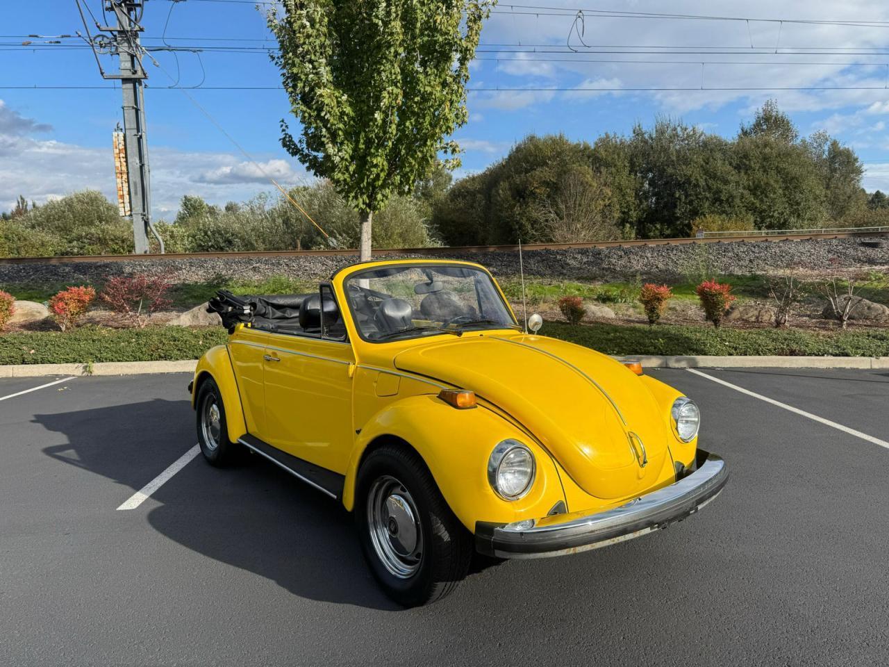 1979 VOLKSWAGEN Beetle