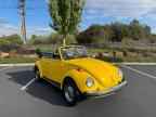 1979 VOLKSWAGEN Beetle