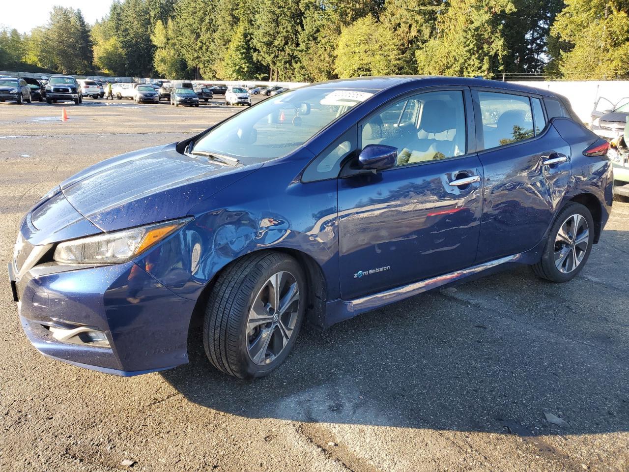 2019 NISSAN LEAF