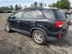 2014 KIA SORENTO