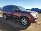 2011 LEXUS GX 460