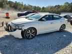 2017 NISSAN Maxima
