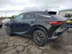 2025 LEXUS Rx