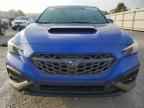 2023 SUBARU WRX