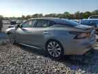 2023 NISSAN Maxima