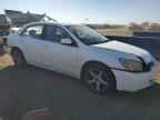 2004 HONDA ACCORD