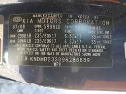 2009 KIA SEDONA