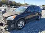 2010 HONDA CR-V