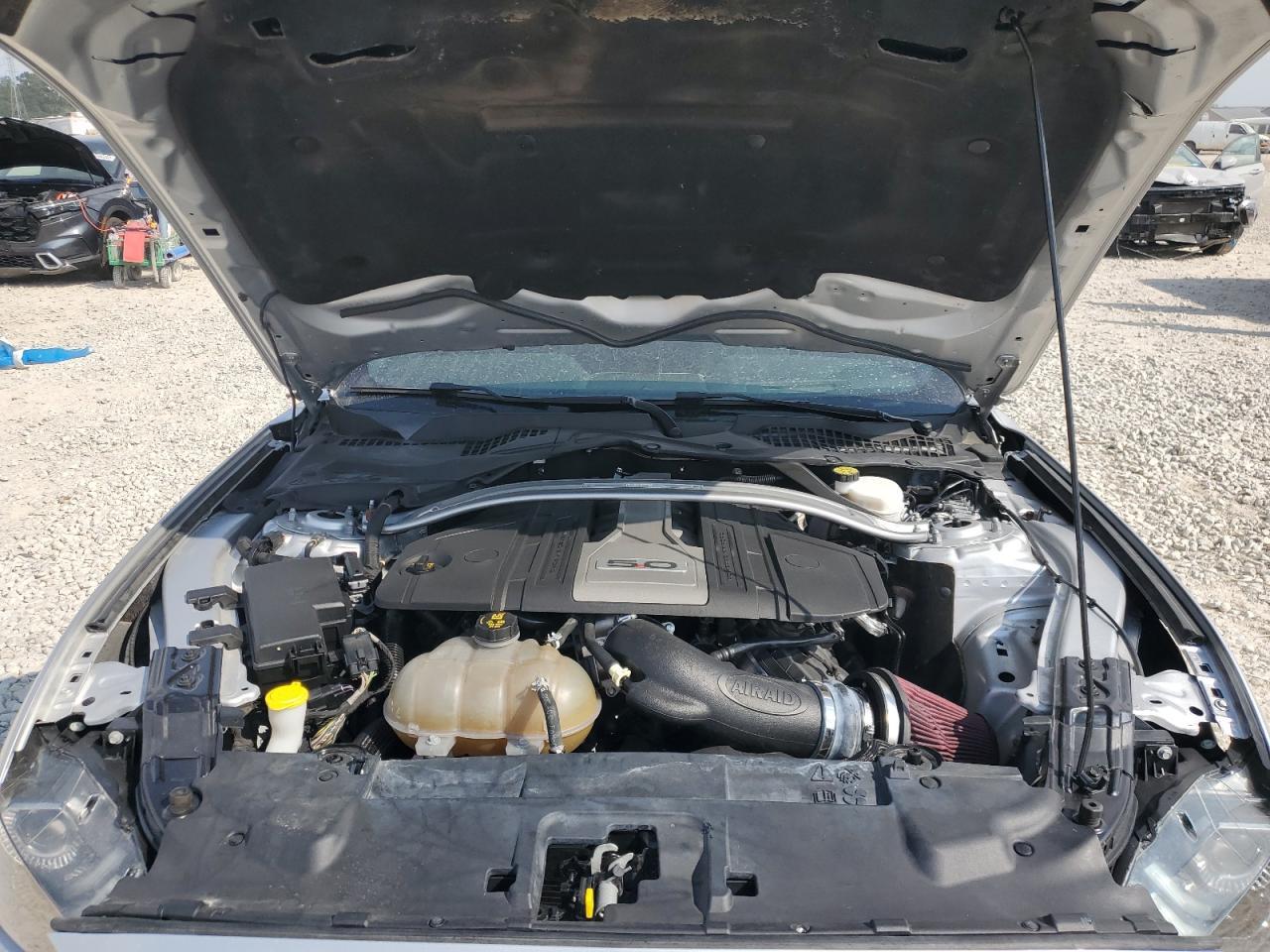 2019 FORD MUSTANG