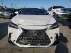 2024 LEXUS Nx