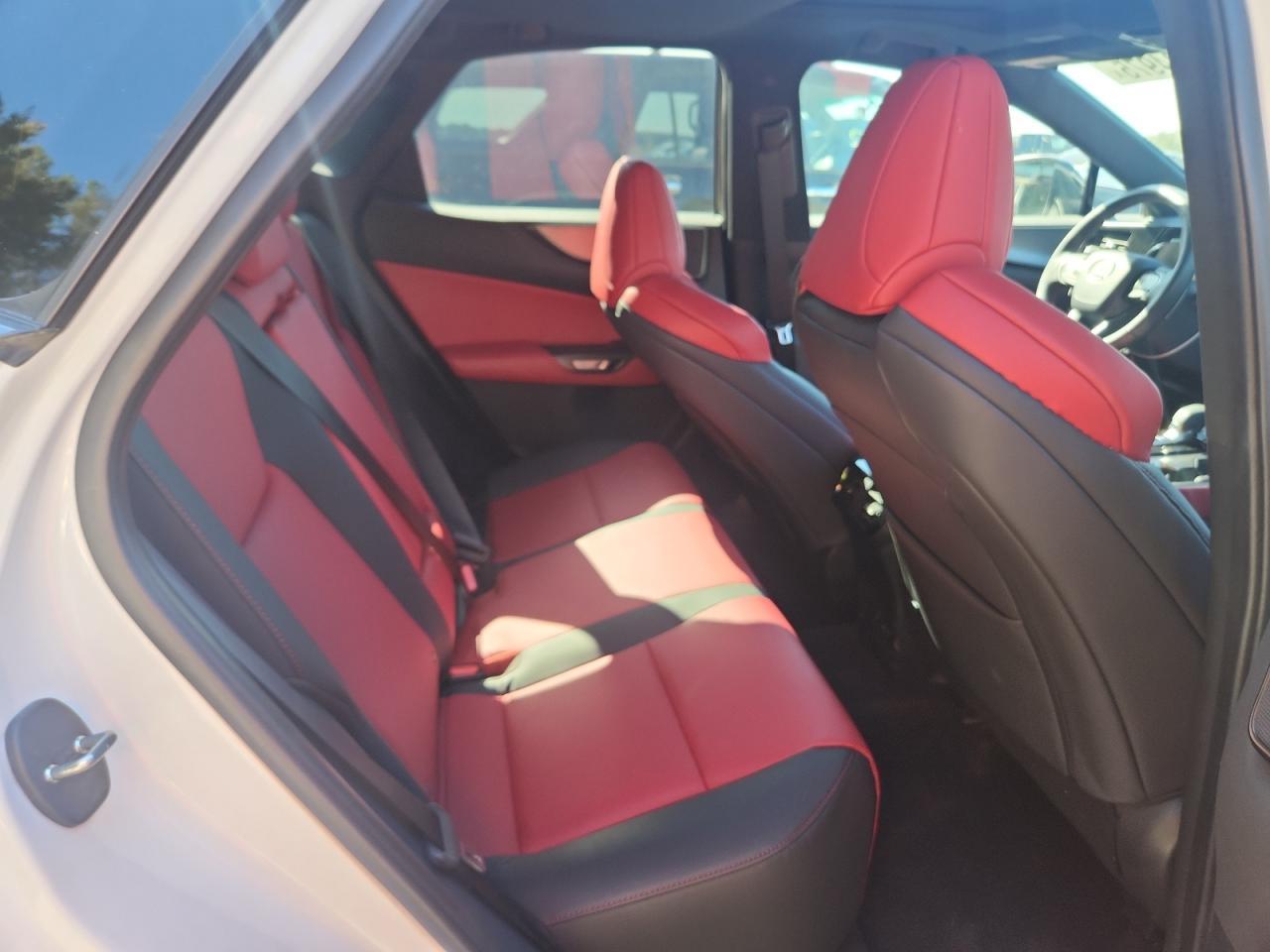2024 LEXUS Nx