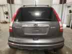 2010 HONDA CR-V