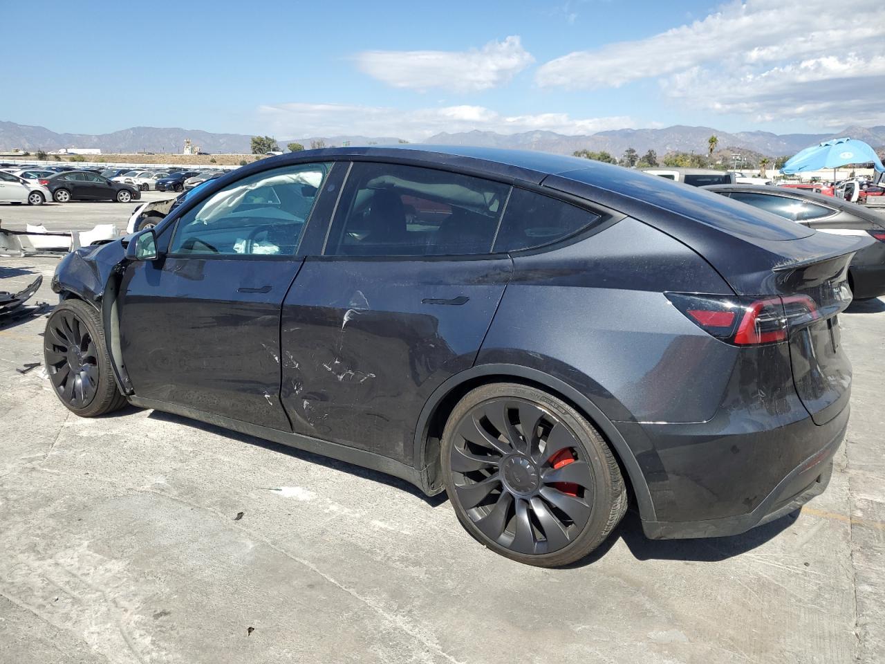 2024 TESLA MODEL Y