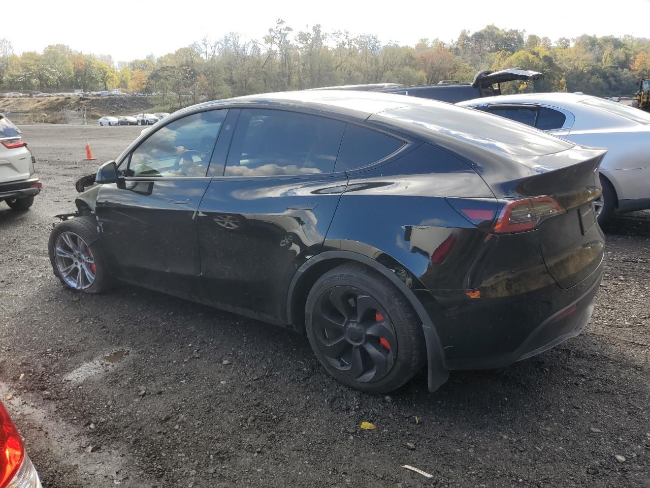 2024 TESLA MODEL Y