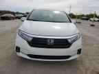 2023 HONDA ODYSSEY