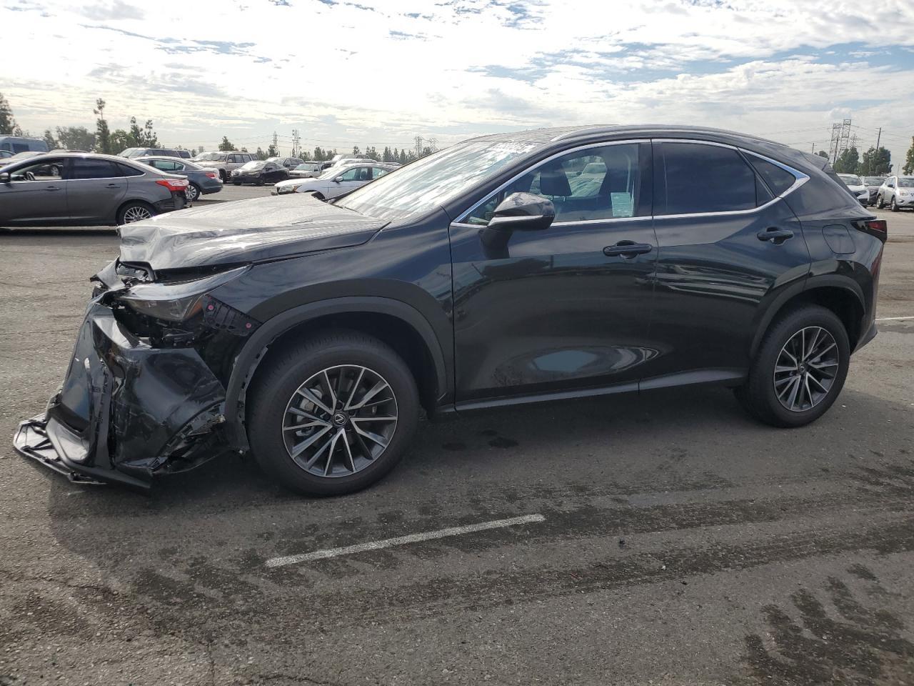 2025 LEXUS Nx