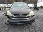 2010 HONDA CR-V