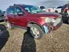 2010 HONDA CR-V