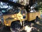 1986 FORD F600