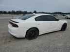 2017 DODGE CHARGER
