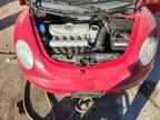 2007 VOLKSWAGEN Beetle