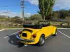 1979 VOLKSWAGEN Beetle