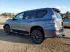 2022 LEXUS GX 460