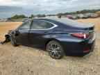 2025 LEXUS Es