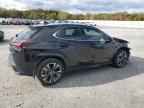 2024 LEXUS UX 250H
