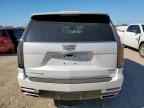 2025 CADILLAC ESCALADE