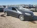2013 CHEVROLET MALIBU