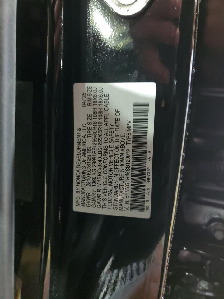 2025 HONDA PILOT