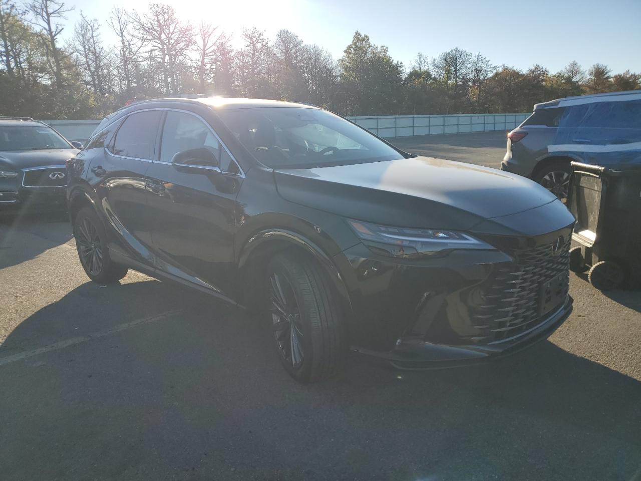 2025 LEXUS Rx