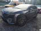 2025 CADILLAC OPTIQ