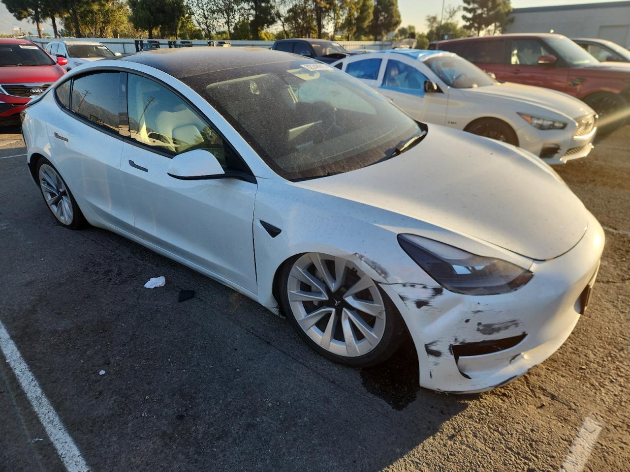 2023 TESLA MODEL 3