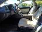 2019 HONDA Insight