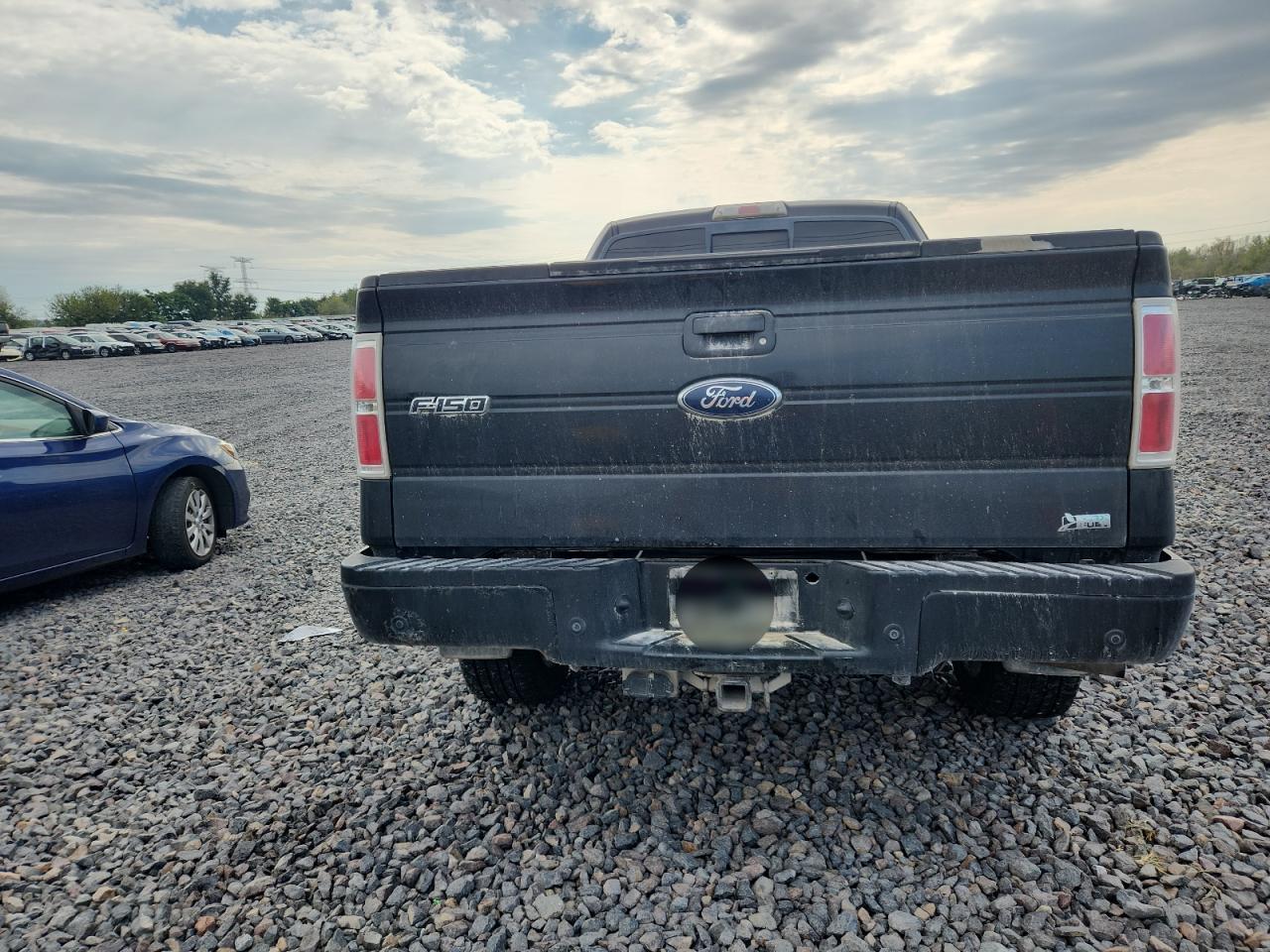 2010 FORD F-150