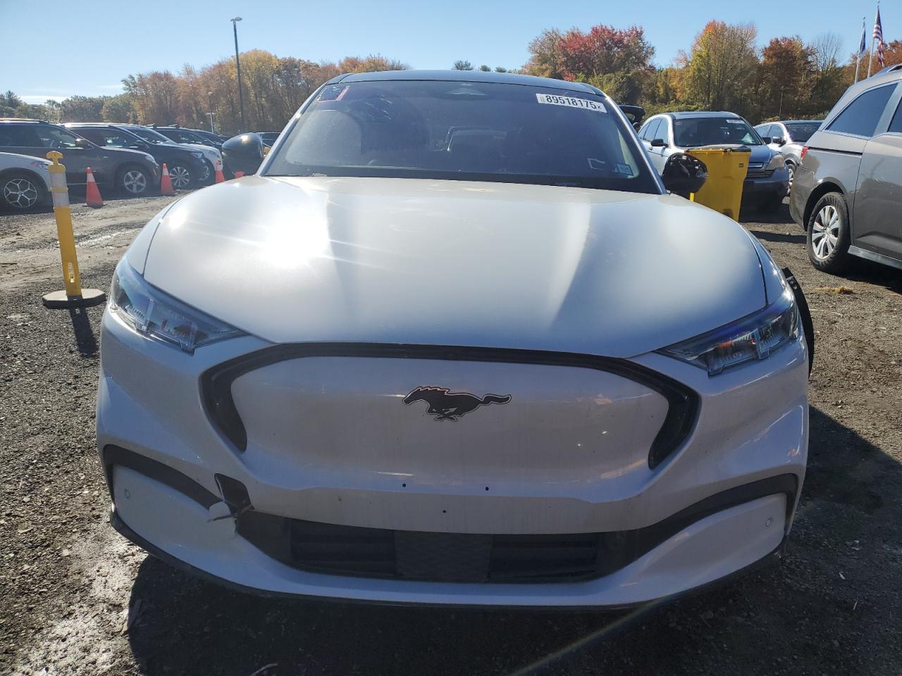 2021 FORD Mustang Mach-E