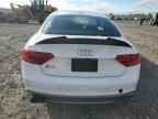 2013 AUDI S5