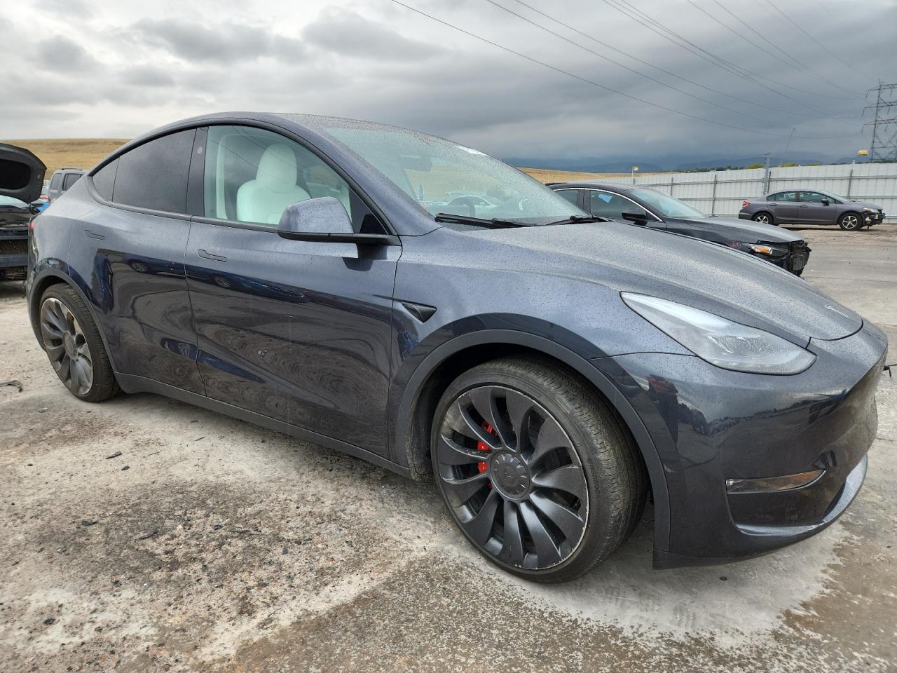 2024 TESLA MODEL Y