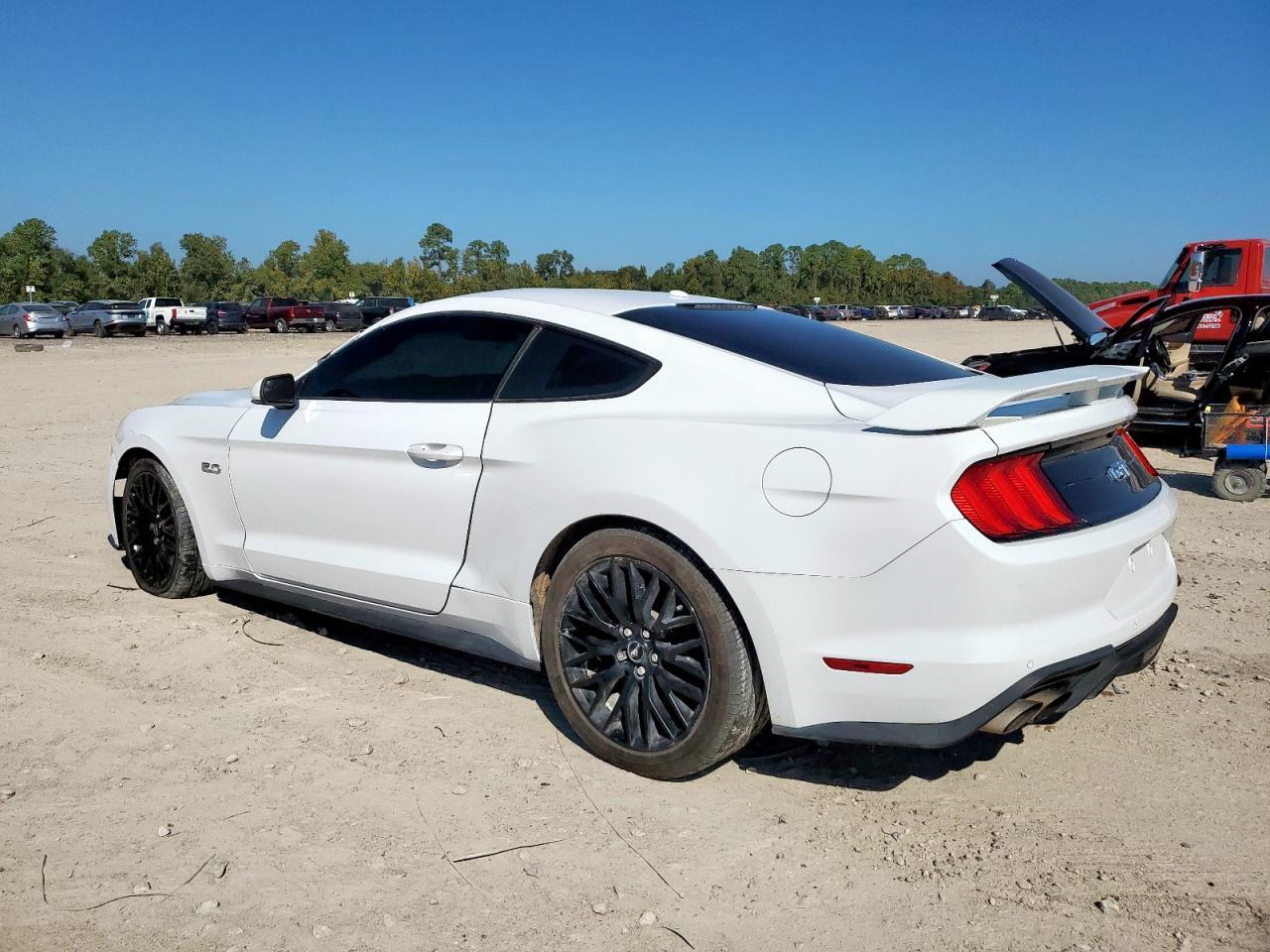 2019 FORD MUSTANG