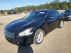 2014 NISSAN Maxima