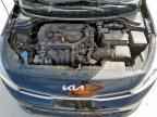 2023 KIA RIO