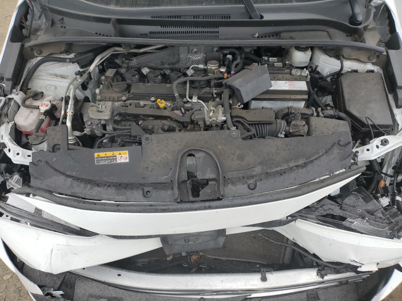 2023 TOYOTA COROLLA
