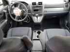 2010 HONDA CR-V
