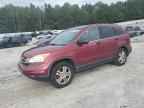 2010 HONDA CR-V