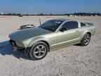 2005 FORD MUSTANG