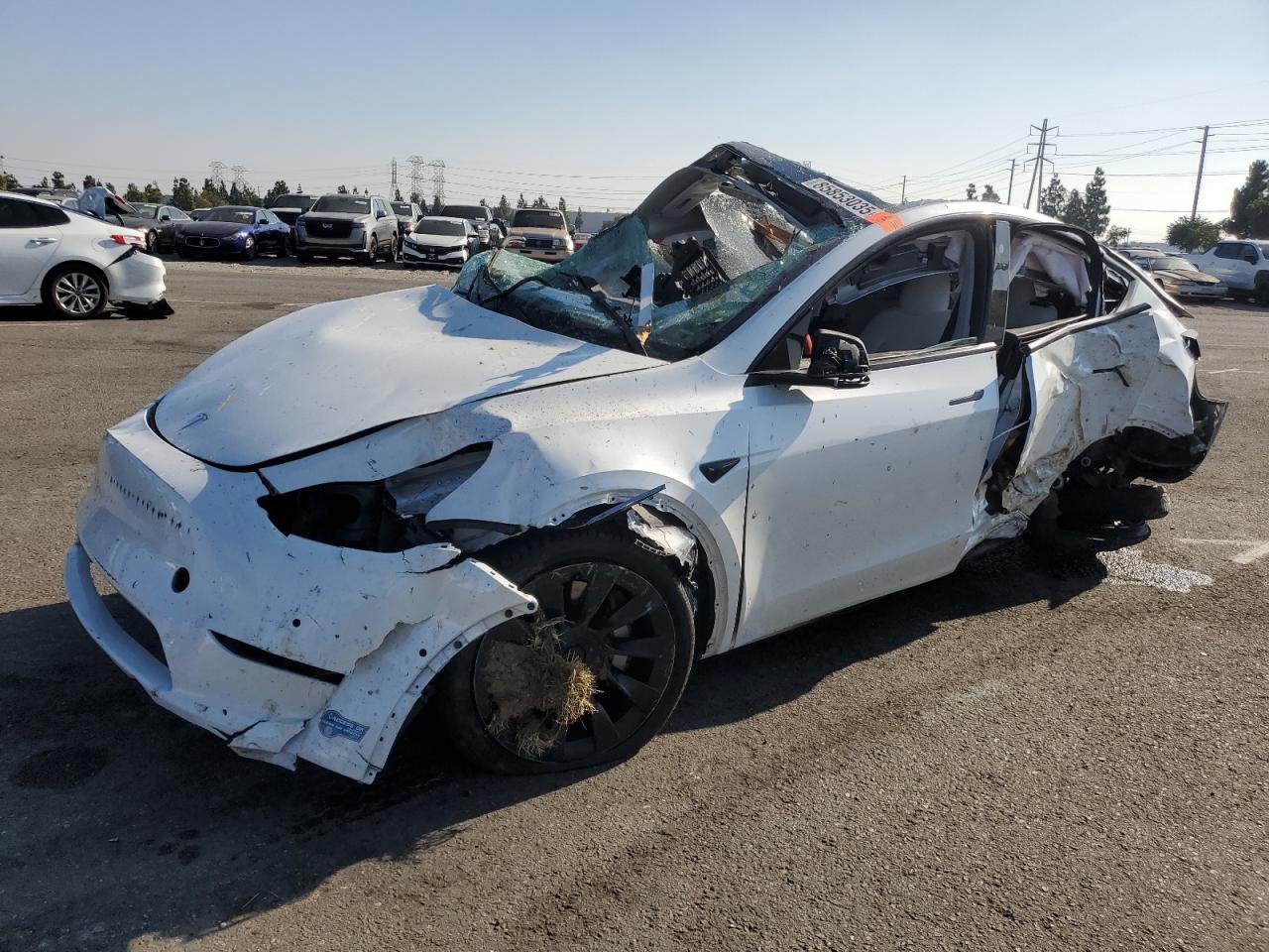 2021 TESLA MODEL Y