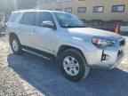2024 TOYOTA 4Runner